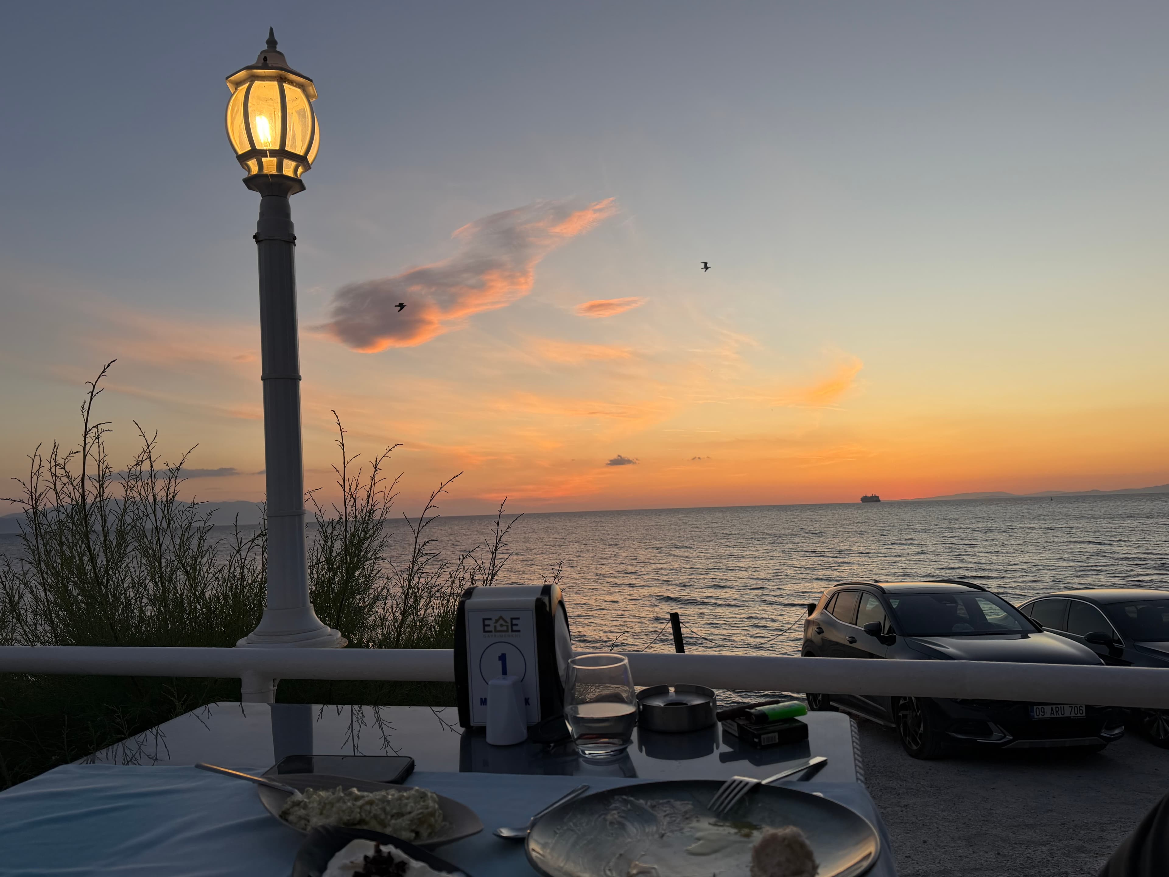 Mare Balık Kuşadası 2