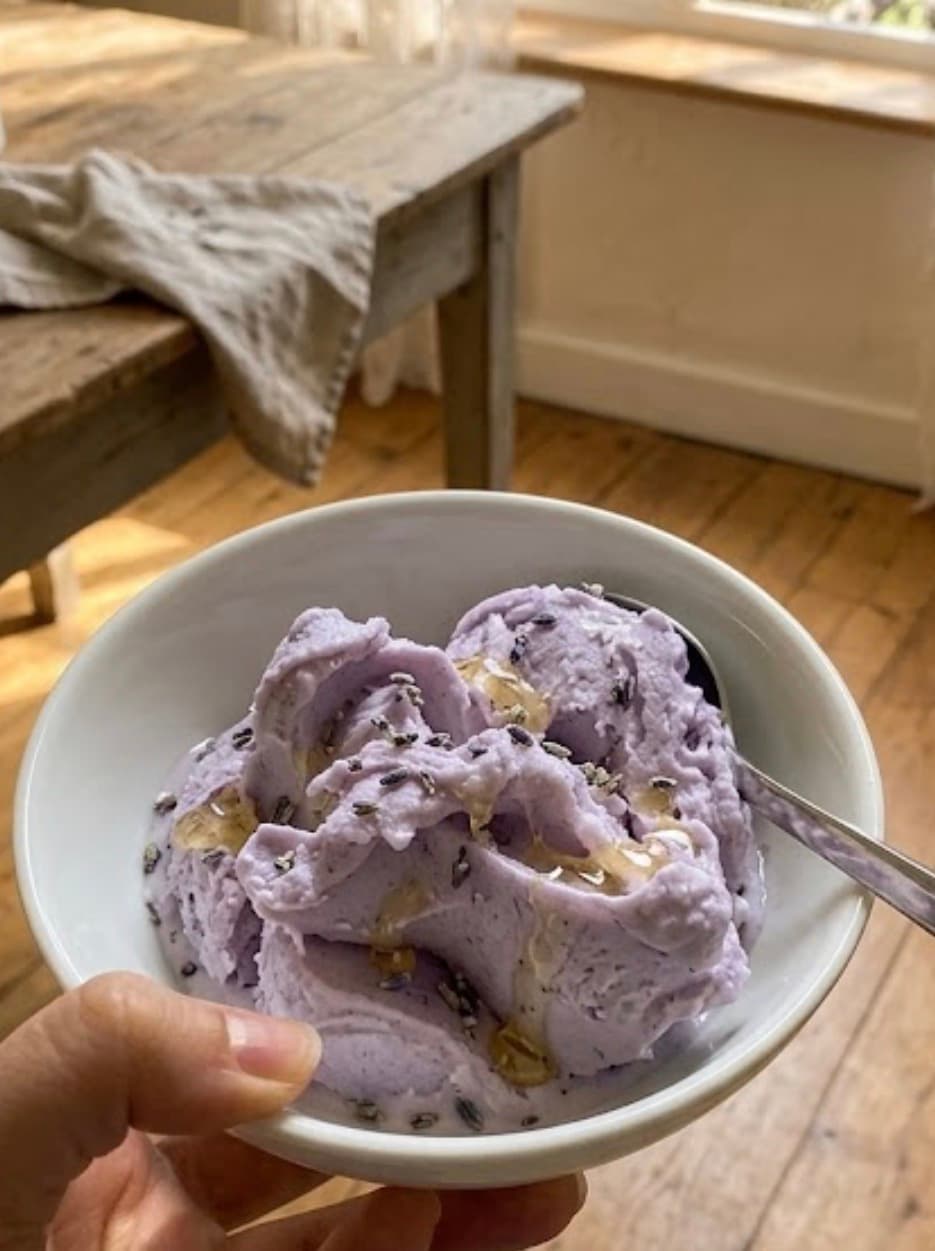 Ninja dondurma ve frozen makinesi